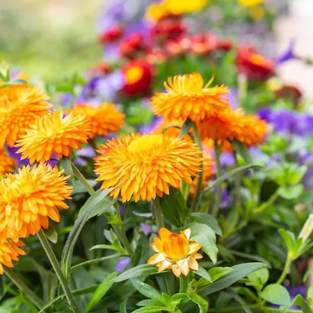 Apartament Wiederkehr *